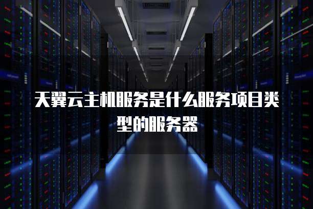 天翼云主机服务是什么服务项目类型的服务器