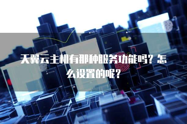 天翼云主机有那种服务功能吗?怎么设置的呢?