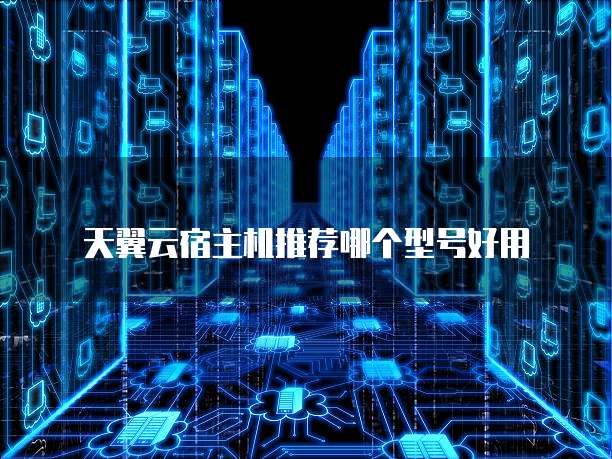 天翼云宿主机推荐哪个型号好用