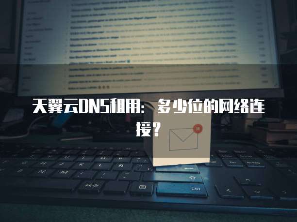天翼云DNS租用:多少位的网络连接?