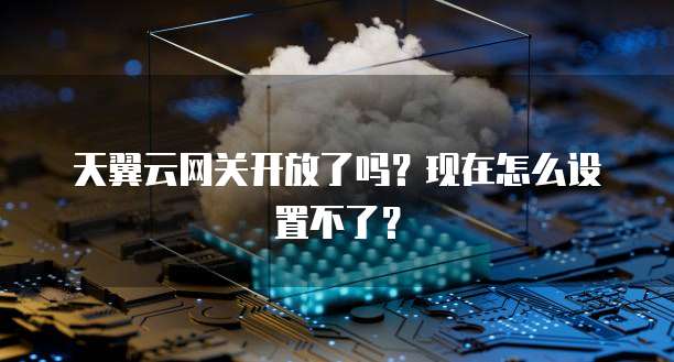 天翼云网关开放了吗?现在怎么设置不了?