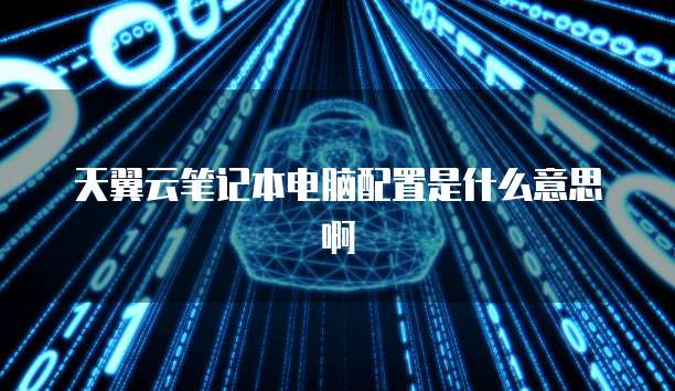 天翼云笔记本电脑配置是什么意思啊