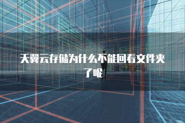 天翼云存储为什么不能回看文件夹了呢