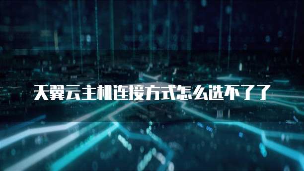 天翼云主机连接方式怎么选不了了
