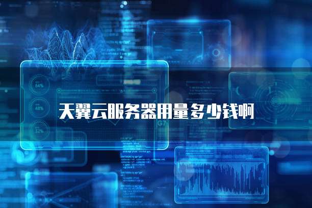 天翼云服务器用量多少钱啊