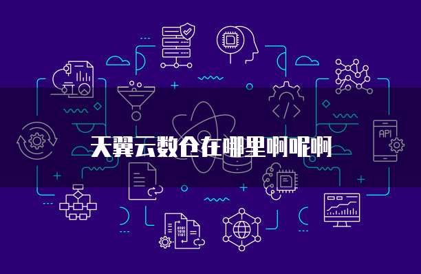 天翼云数仓在哪里啊呢啊