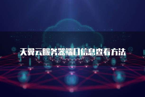 天翼云服务器端口信息查看方法