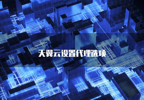 天翼云设置代理选项