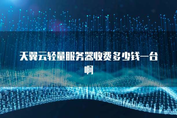 天翼云轻量服务器收费多少钱一台啊