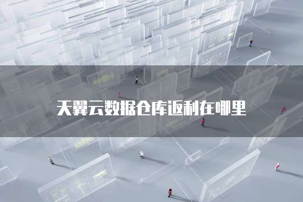 天翼云数据仓库返利在哪里