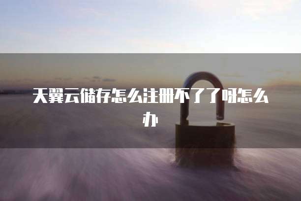 天翼云储存怎么注册不了了呀怎么办