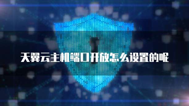 天翼云主机端口开放怎么设置的呢
