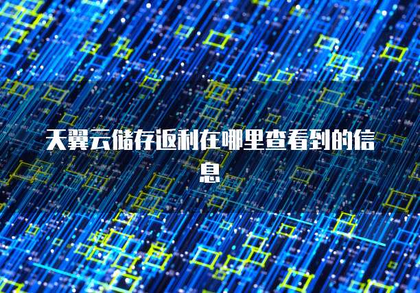天翼云储存返利在哪里查看到的信息