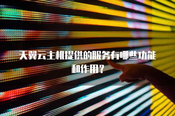 天翼云主机提供的服务有哪些功能和作用？