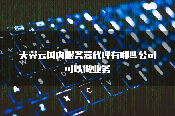 天翼云国内服务器代理有哪些公司可以做业务