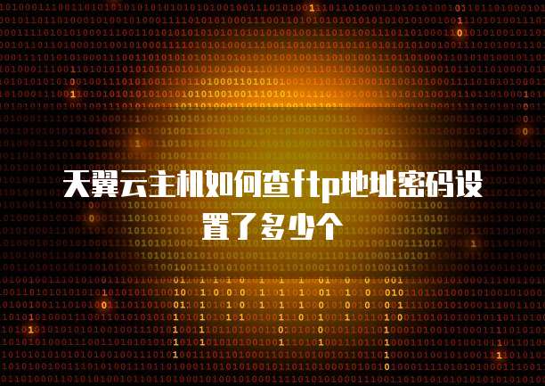 天翼云主机如何查ftp地址密码设置了多少个