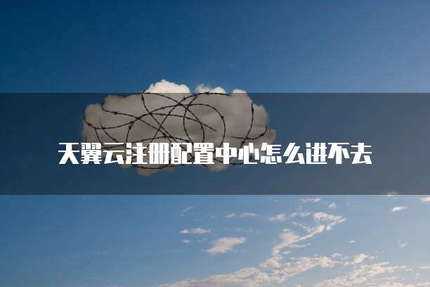 天翼云注册配置中心怎么进不去
