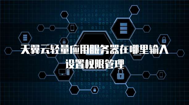 天翼云轻量应用服务器在哪里输入设置权限管理