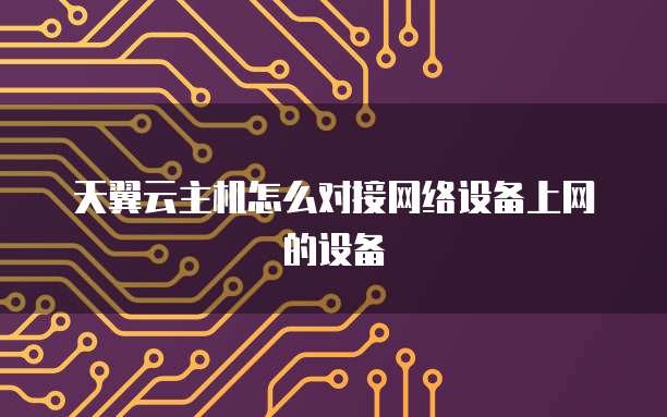 天翼云主机怎么对接网络设备上网的设备