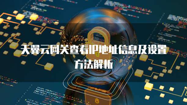 天翼云网关查看IP地址信息及设置方法解析