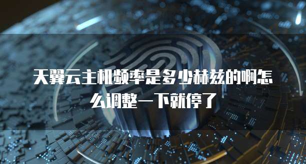 天翼云主机频率是多少赫兹的啊怎么调整一下就停了