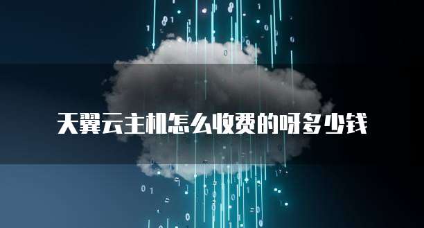 天翼云主机怎么收费的呀多少钱
