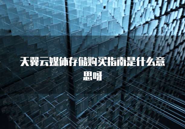天翼云媒体存储购买指南是什么意思呀