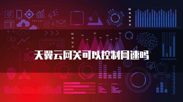 天翼云网关可以控制网速吗