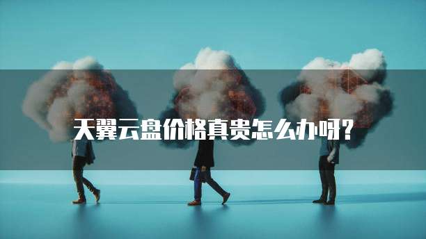 天翼云盘价格真贵怎么办呀?