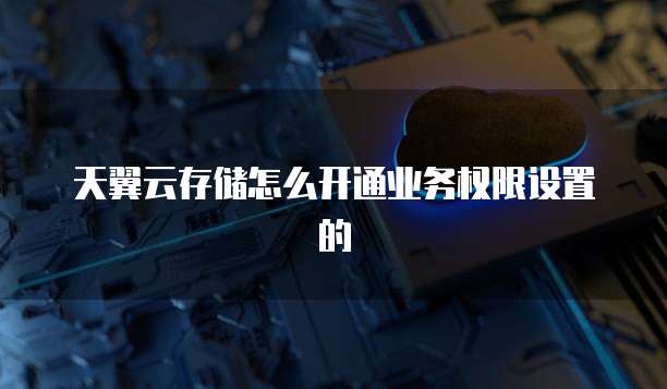 天翼云存储怎么开通业务权限设置的
