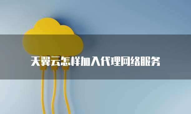 天翼云怎样加入代理网络服务