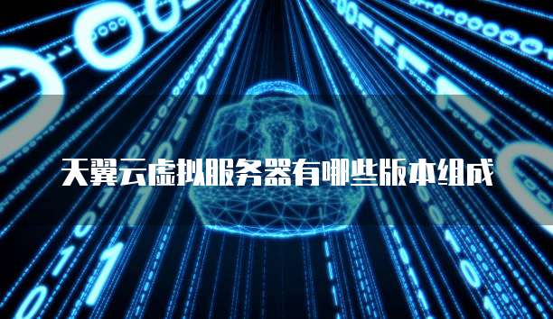 天翼云虚拟服务器有哪些版本组成