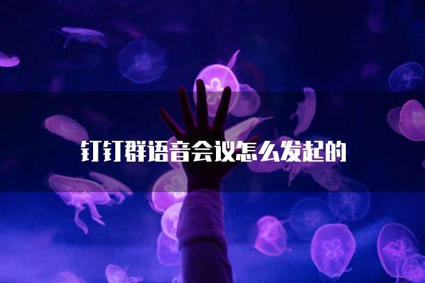 天翼云 DNS:保障企业网络稳定与高效