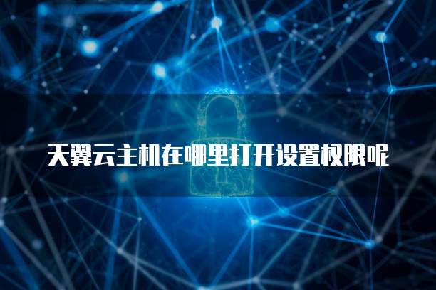 天翼云主机在哪里打开设置权限呢