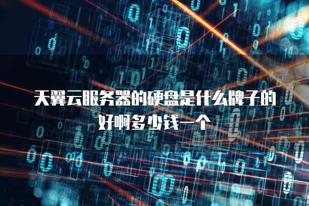 天翼云服务器的硬盘是什么牌子的好啊多少钱一个