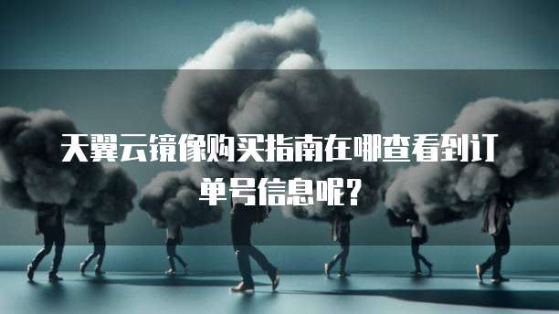 天翼云镜像购买指南在哪查看到订单号信息呢?