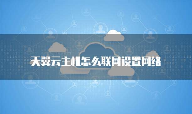 天翼云主机怎么联网设置网络
