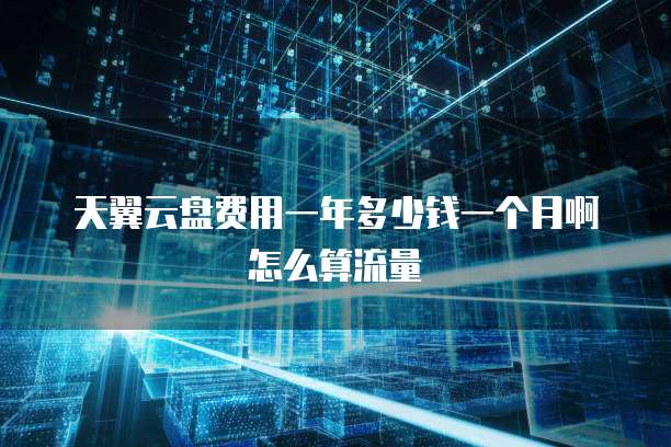 天翼云盘费用一年多少钱一个月啊怎么算流量