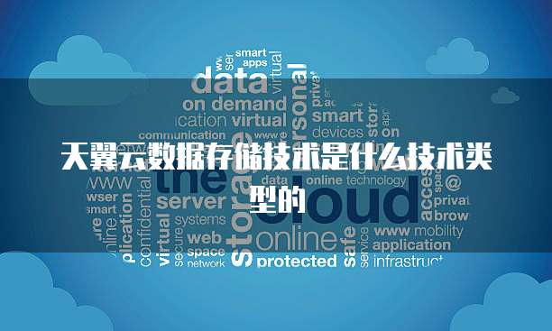 天翼云数据存储技术是什么技术类型的