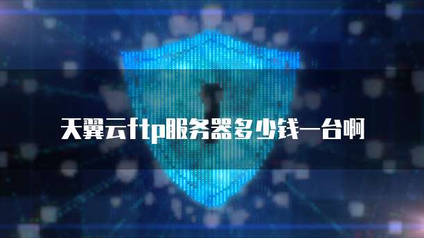 天翼云ftp服务器多少钱一台啊