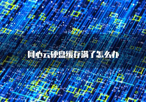 天翼云主机登陆页面设置大小字母