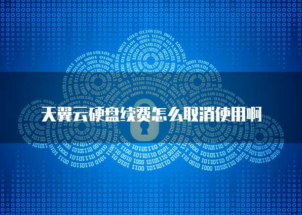 天翼云服务器远程怎么打开控制面板功能设置