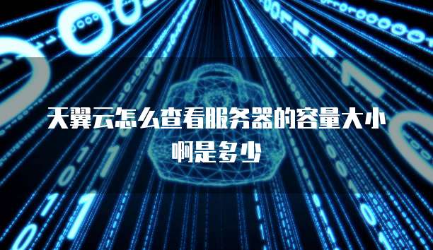 天翼云怎么查看服务器的容量大小啊是多少