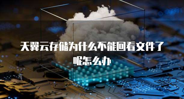天翼云存储为什么不能回看文件了呢怎么办