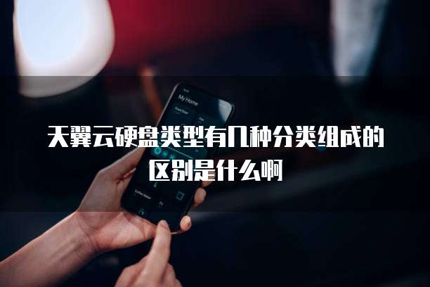 天翼云硬盘类型有几种分类组成的区别是什么啊