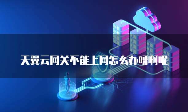 天翼云网关不能上网怎么办呀啊呢