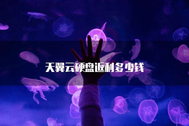 天翼云硬盘返利多少钱