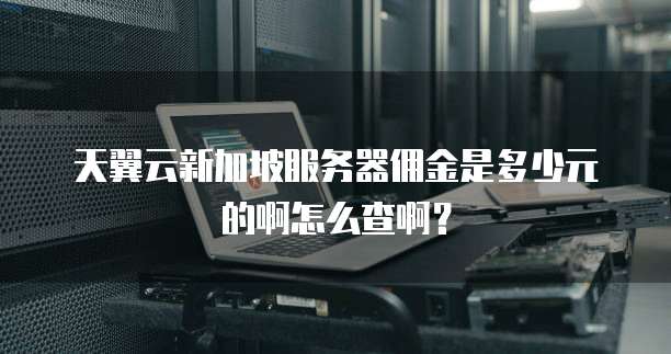 天翼云新加坡服务器佣金是多少元的啊怎么查啊?