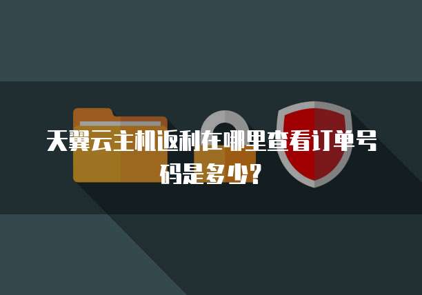 天翼云主机返利在哪里查看订单号码是多少?