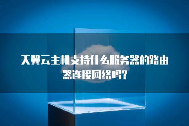 天翼云主机支持什么服务器的路由器连接网络吗?